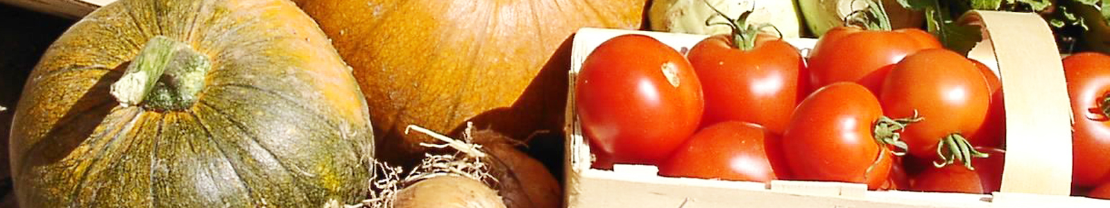 Kürbisse und Tomaten © Dienstleistungszentren Ländlicher Raum